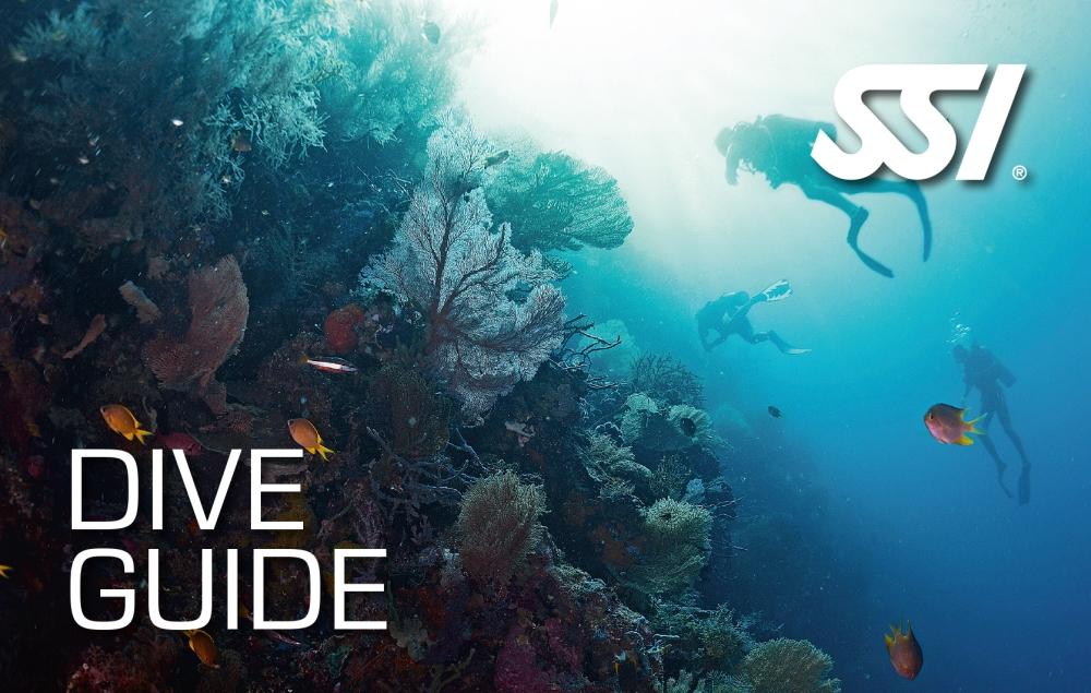 Curso SSI Dive Guide y Dive Master / Guía de Buceo